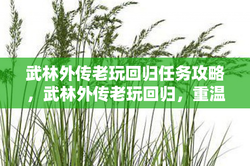 武林外传老玩回归任务攻略，武林外传老玩回归，重温经典，再续江湖情缘