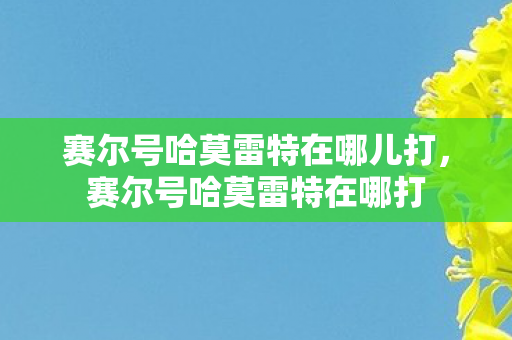 赛尔号哈莫雷特在哪儿打，赛尔号哈莫雷特在哪打
