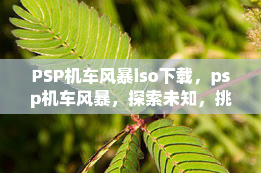 PSP机车风暴iso下载，psp机车风暴，探索未知，挑战极限