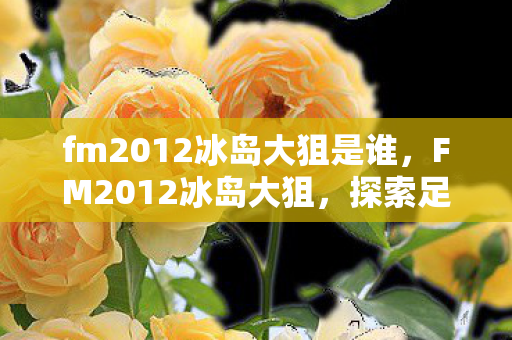 fm2012冰岛大狙是谁，FM2012冰岛大狙，探索足球经理的极致策略