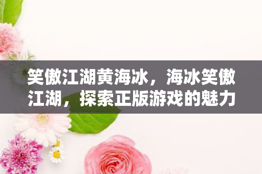 笑傲江湖黄海冰，海冰笑傲江湖，探索正版游戏的魅力与乐趣