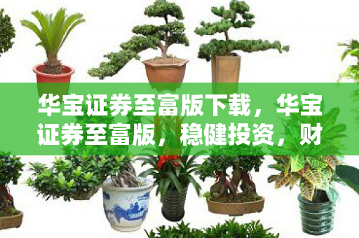 华宝证券至富版下载，华宝证券至富版，稳健投资，财富增值的明智选择