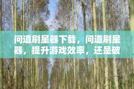 问道刷星器下载，问道刷星器，提升游戏效率，还是破坏游戏平衡？