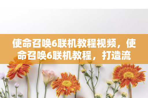 使命召唤6联机教程视频，使命召唤6联机教程，打造流畅游戏体验