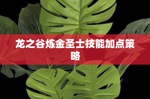 龙之谷炼金圣士技能加点策略