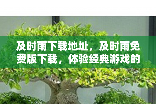 及时雨下载地址，及时雨免费版下载，体验经典游戏的便捷途径