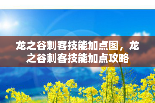 龙之谷刺客技能加点图，龙之谷刺客技能加点攻略