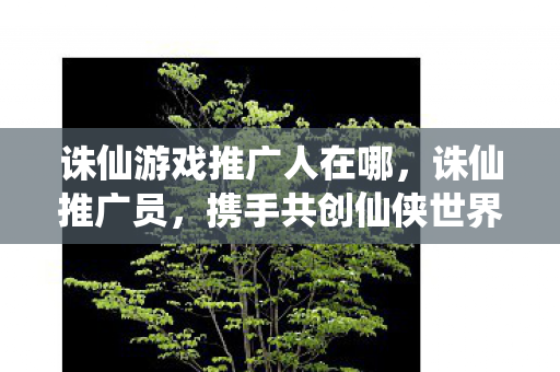 诛仙游戏推广人在哪，诛仙推广员，携手共创仙侠世界，共享游戏盛宴