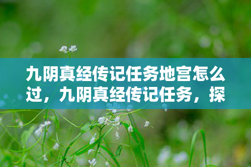 九阴真经传记任务地宫怎么过，九阴真经传记任务，探寻江湖隐秘的传奇之旅
