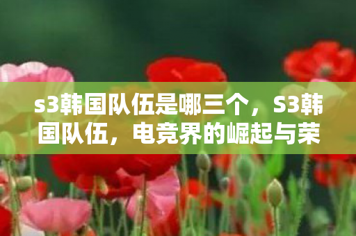 s3韩国队伍是哪三个，S3韩国队伍，电竞界的崛起与荣耀