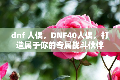 dnf 人偶，DNF40人偶，打造属于你的专属战斗伙伴
