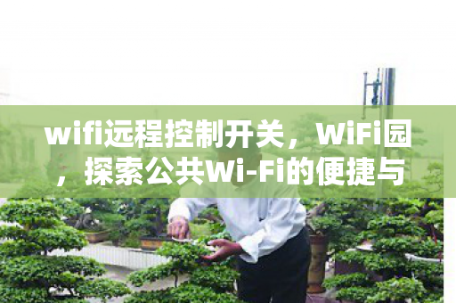 wifi远程控制开关，WiFi园，探索公共Wi-Fi的便捷与安全边界