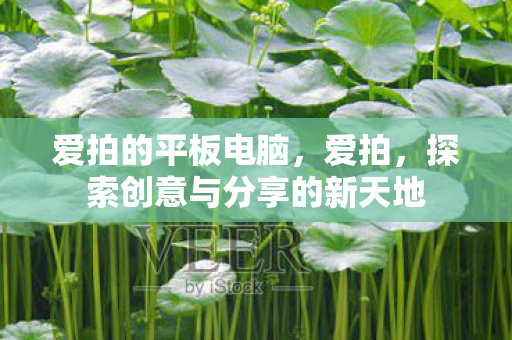 爱拍的平板电脑，爱拍，探索创意与分享的新天地