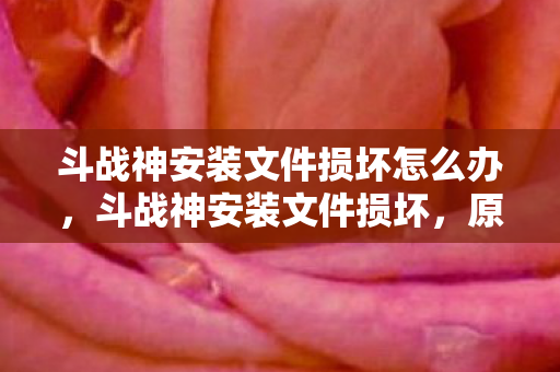斗战神安装文件损坏怎么办，斗战神安装文件损坏，原因分析与修复指南