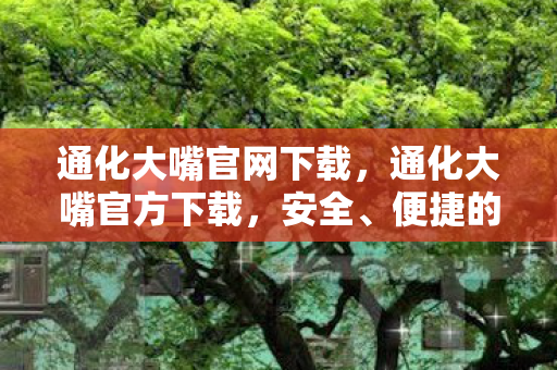 通化大嘴官网下载，通化大嘴官方下载，安全、便捷的游戏体验