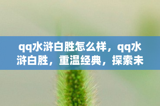 qq水浒白胜怎么样，qq水浒白胜，重温经典，探索未知