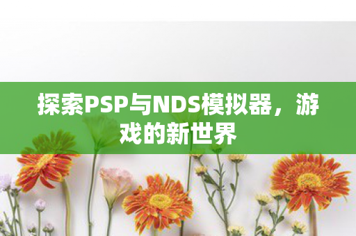 探索PSP与NDS模拟器,游戏的新世界 探索PSP与NDS模拟器,游戏的新世界