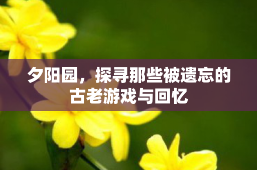 夕阳园，探寻那些被遗忘的古老游戏与回忆