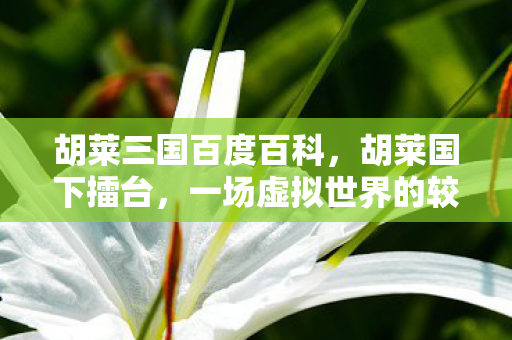 胡莱三国百度百科，胡莱国下擂台，一场虚拟世界的较量
