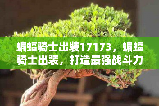 蝙蝠骑士出装17173，蝙蝠骑士出装，打造最强战斗力的关键