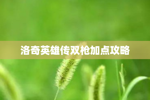 洛奇英雄传双枪加点攻略 洛奇英雄传双枪加点攻略