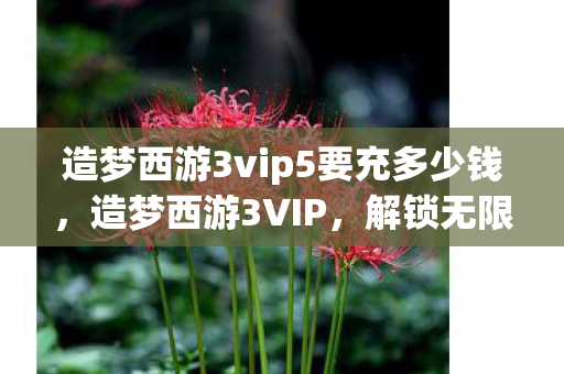 造梦西游3vip5要充多少钱，造梦西游3VIP，解锁无限可能的西游之旅