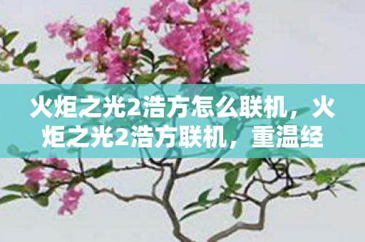 火炬之光2浩方怎么联机，火炬之光2浩方联机，重温经典，与好友共战