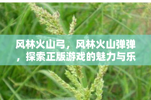风林火山弓，风林火山弹弹，探索正版游戏的魅力与乐趣