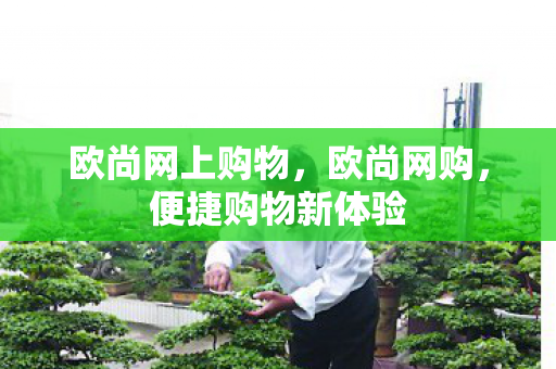 欧尚网上购物，欧尚网购，便捷购物新体验