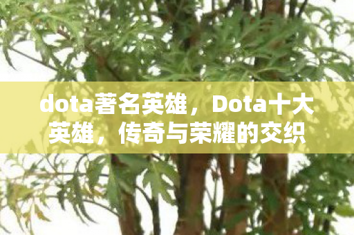 dota著名英雄，Dota十大英雄，传奇与荣耀的交织