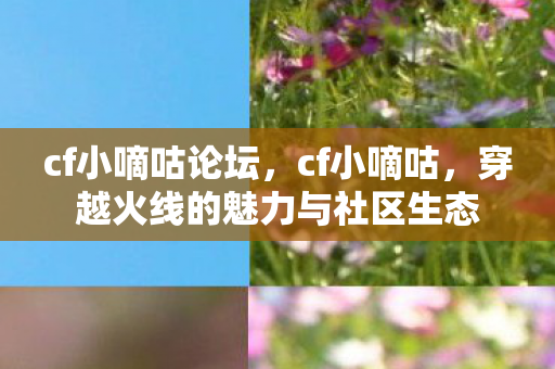 cf小嘀咕论坛，cf小嘀咕，穿越火线的魅力与社区生态