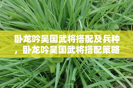 卧龙吟吴国武将搭配及兵种，卧龙吟吴国武将搭配策略