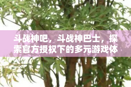 斗战神吧，斗战神巴士，探索官方授权下的多元游戏体验
