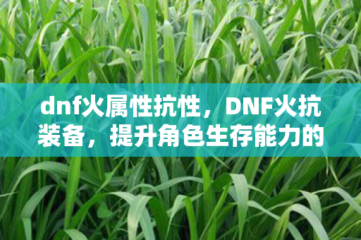 dnf火属性抗性，DNF火抗装备，提升角色生存能力的关键