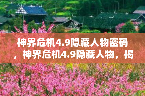 神界危机4.9隐藏人物密码，神界危机4.9隐藏人物，揭秘未知的英雄之旅