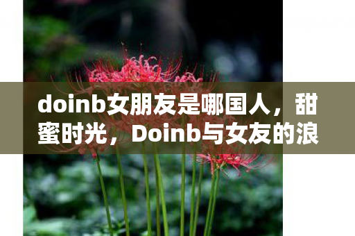 doinb女朋友是哪国人，甜蜜时光，Doinb与女友的浪漫日常