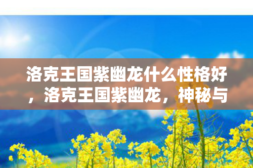 洛克王国紫幽龙什么性格好，洛克王国紫幽龙，神秘与力量的化身