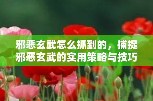 邪恶玄武怎么抓到的，捕捉邪恶玄武的实用策略与技巧