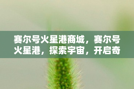 赛尔号火星港商城，赛尔号火星港，探索宇宙，开启奇妙之旅