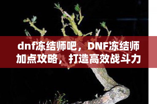 dnf冻结师吧，DNF冻结师加点攻略，打造高效战斗力的关键
