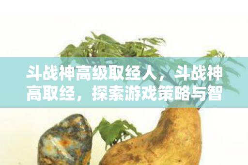 斗战神高级取经人，斗战神高取经，探索游戏策略与智慧的深度之旅