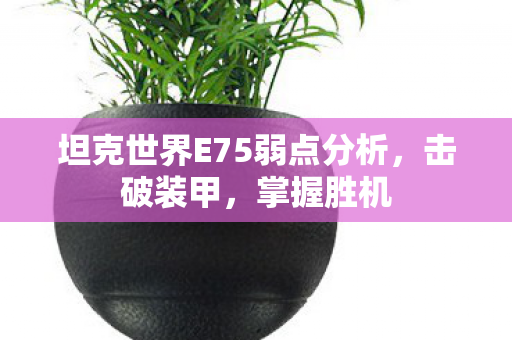 坦克世界E75弱点分析，击破装甲，掌握胜机