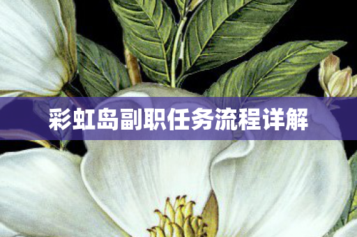 彩虹岛副职任务流程详解