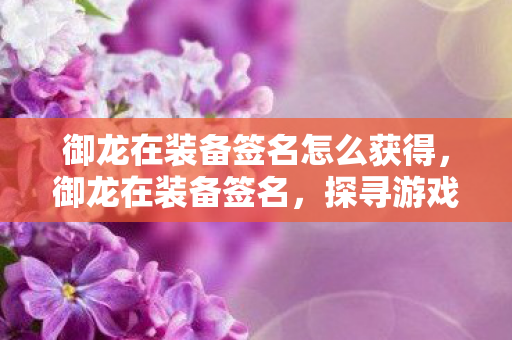御龙在装备签名怎么获得，御龙在装备签名，探寻游戏中的独特印记