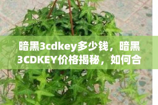 暗黑3cdkey多少钱，暗黑3CDKEY价格揭秘，如何合法获取游戏激活码