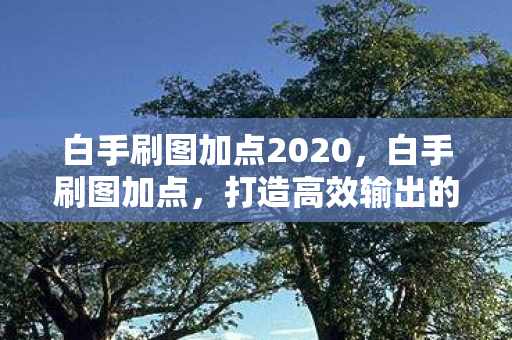白手刷图加点2020，白手刷图加点，打造高效输出的剑魂技能组合