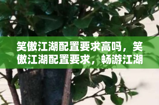 笑傲江湖配置要求高吗，笑傲江湖配置要求，畅游江湖的硬件与软件门槛