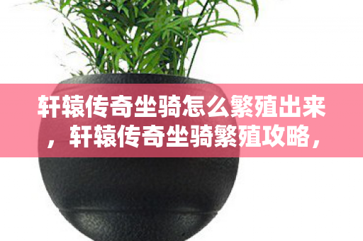 轩辕传奇坐骑怎么繁殖出来，轩辕传奇坐骑繁殖攻略，打造你的专属灵兽