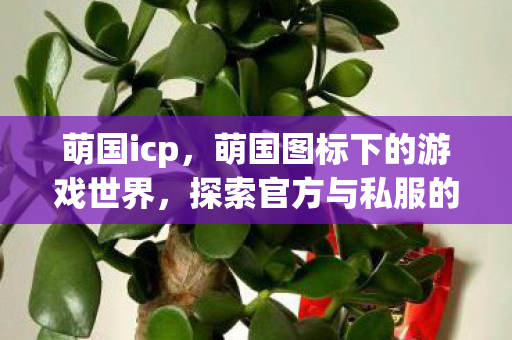 萌国icp，萌国图标下的游戏世界，探索官方与私服的异同