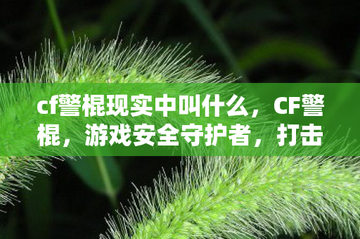 cf警棍现实中叫什么，CF警棍，游戏安全守护者，打击非法行为的利器